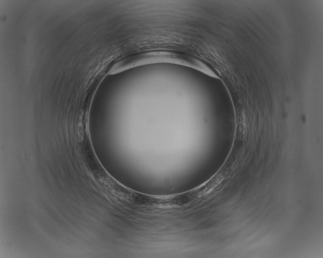 X0000070190360200605301318