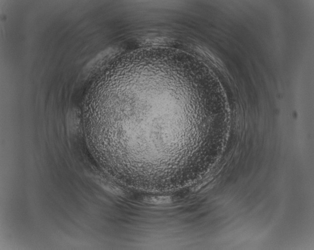 X0000070190361200605301318
