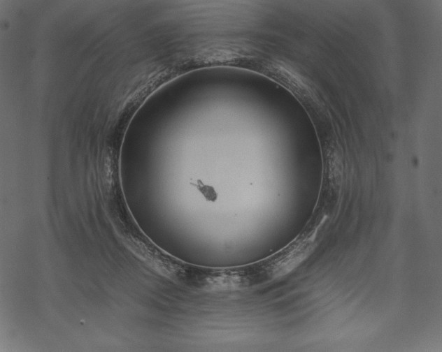 X0000070190362200605301318