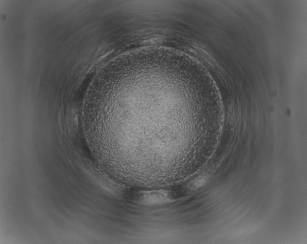 X0000070190363200605301318