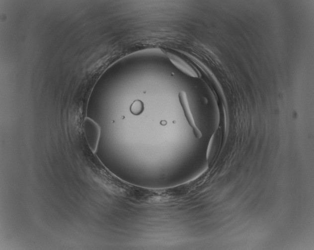 X0000070190364200605301318