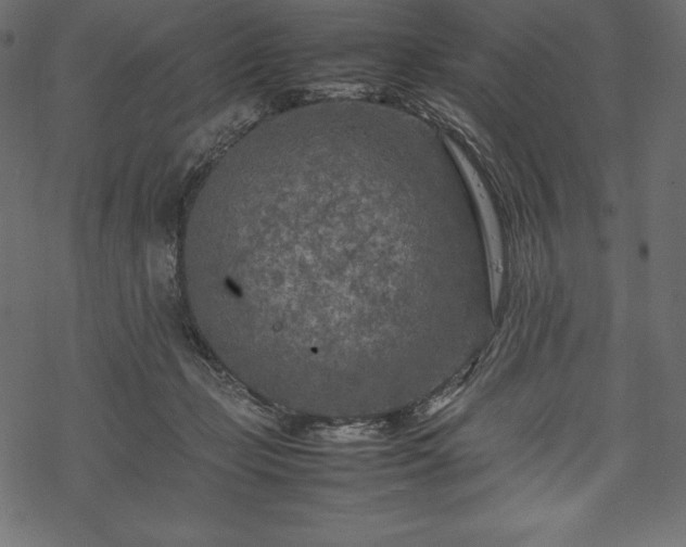 X0000070190365200605301318