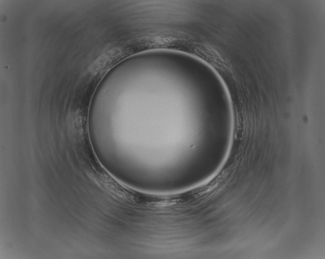 X0000070190366200605301318