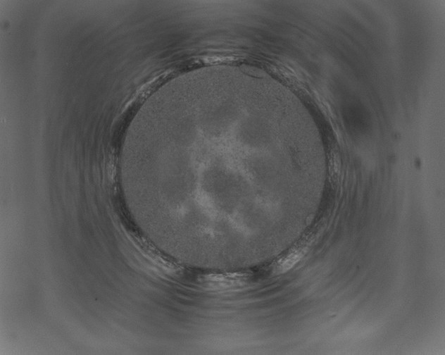 X0000070190367200605301318