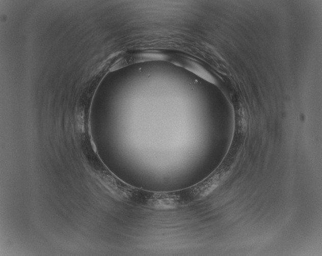 X0000070190368200605301318