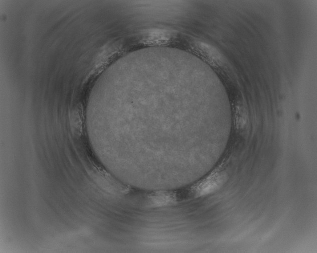 X0000070190370200605301318