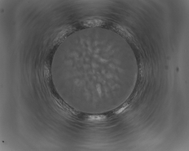 X0000070190371200605301318