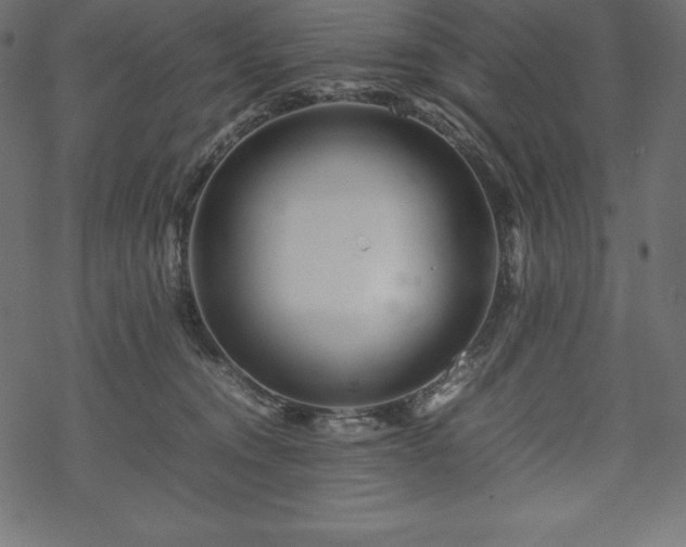 X0000070190372200605301318