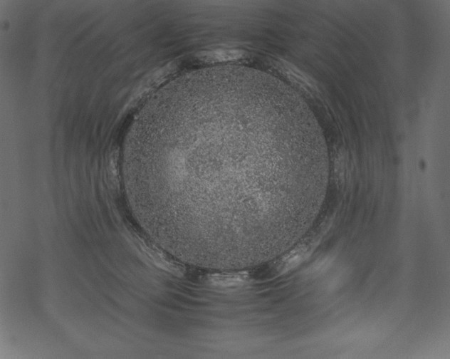 X0000070190373200605301318