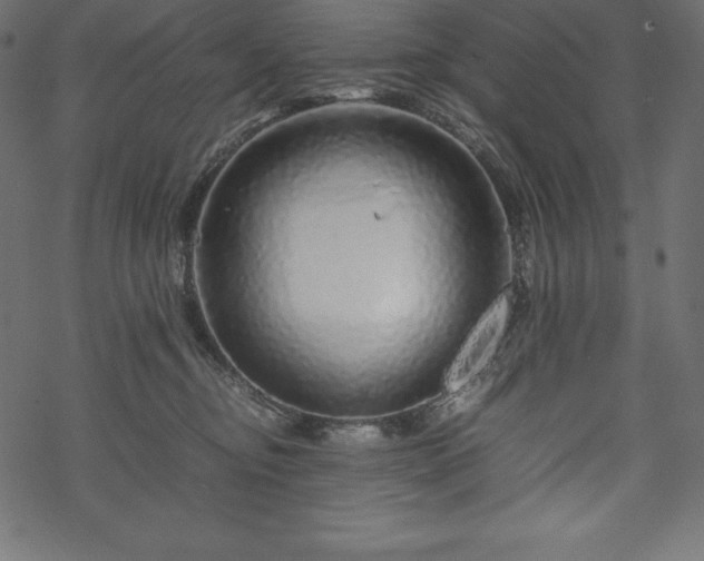 X0000070190374200605301318