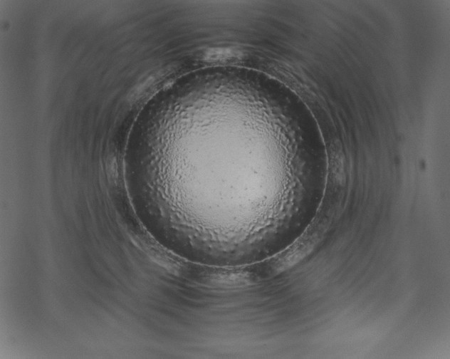 X0000070190375200605301318