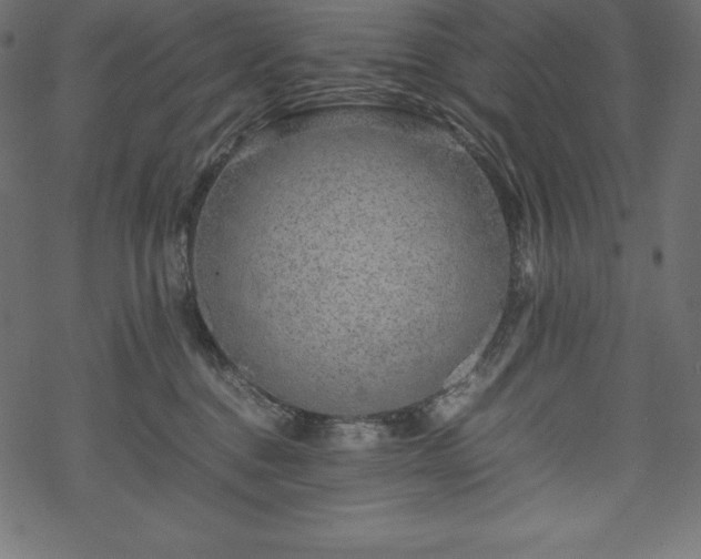 X0000070190376200605301318