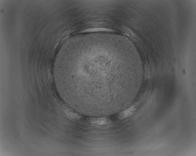 X0000070190377200605301319