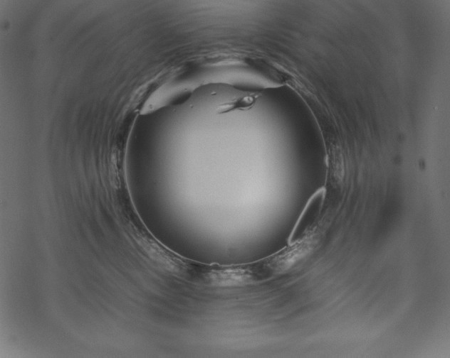 X0000070190378200605301319