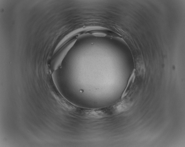 X0000070190379200605301319