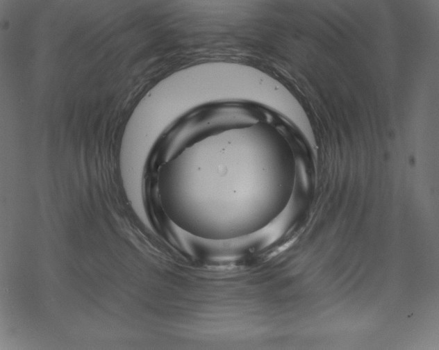 X0000070190380200605301319