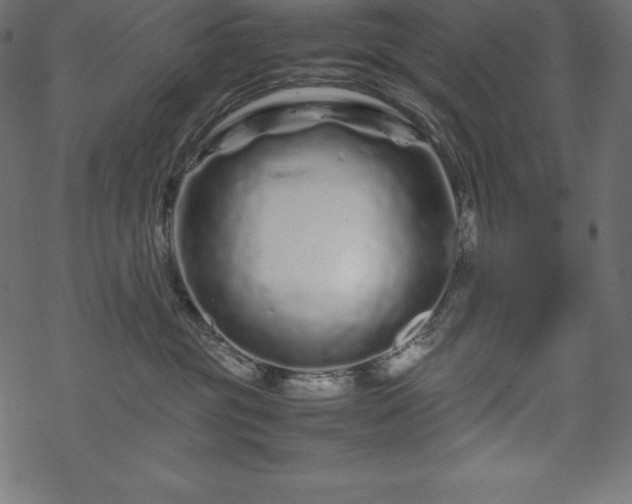 X0000070190381200605301319