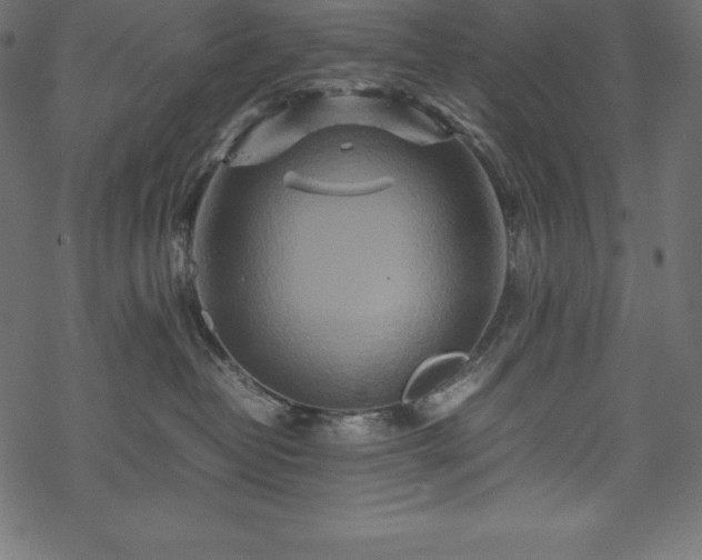 X0000070190382200605301319