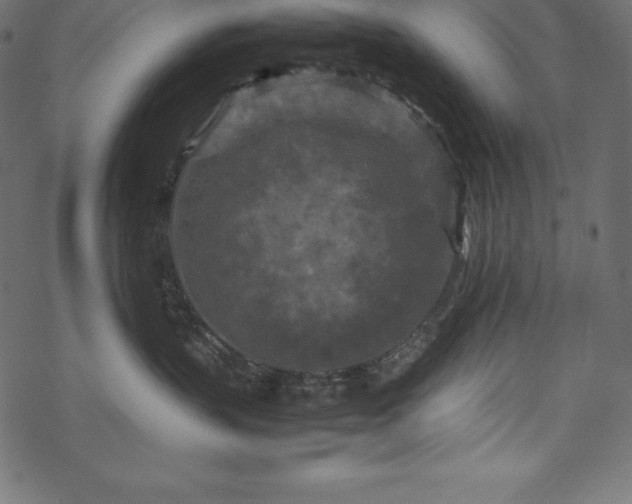 X0000070190383200605301319