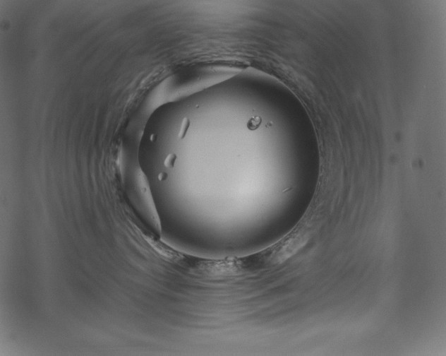 X0000070190384200605301319