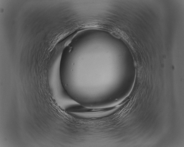 X0000070190385200605301318