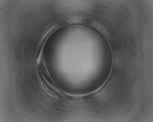 X0000070190386200605301318