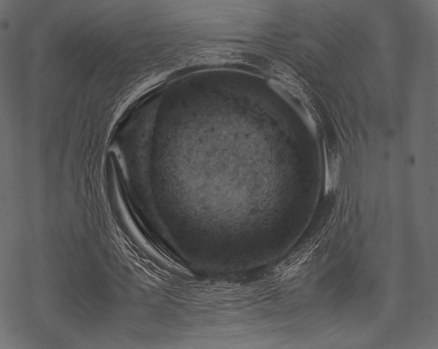 X0000070190387200605301318