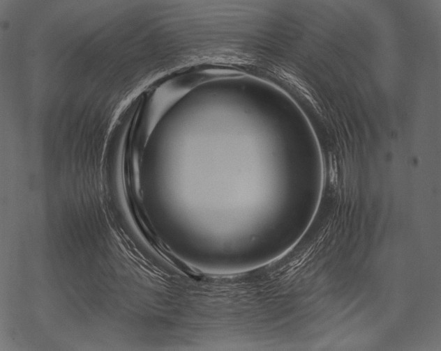 X0000070190388200605301318