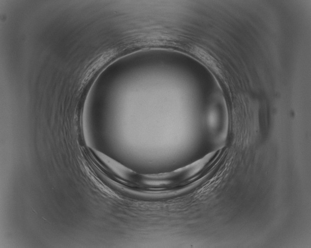 X0000070190389200605301318