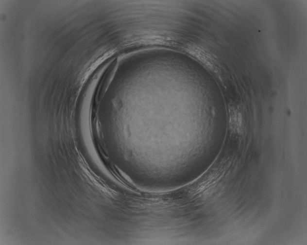 X0000070190390200605301318