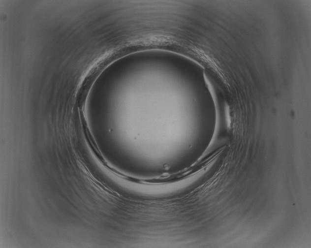 X0000070190392200605301318