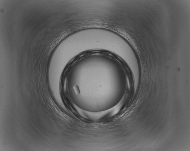 X0000070190393200605301318