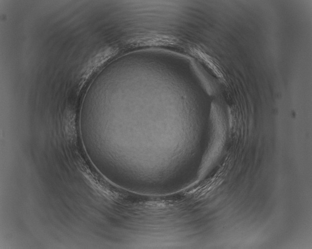 X0000070190394200605301318