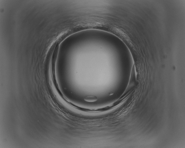 X0000070190395200605301318