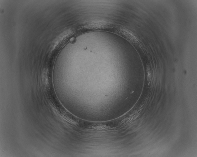 X0000070190396200605301318