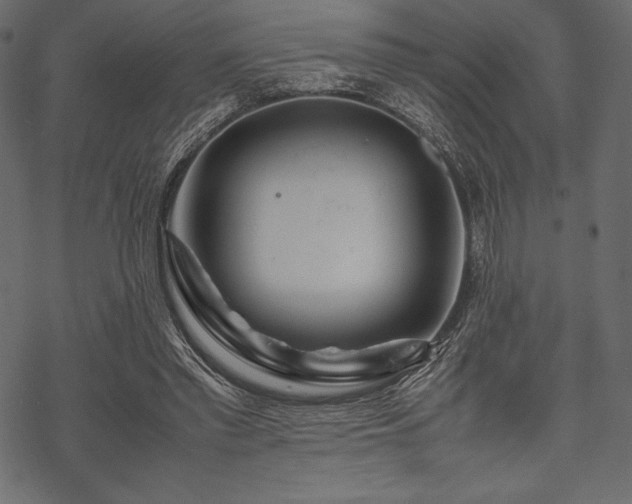 X0000070190397200605301318