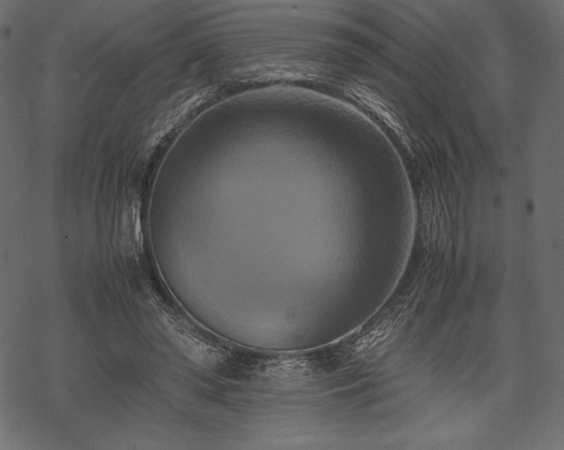 X0000070190398200605301318