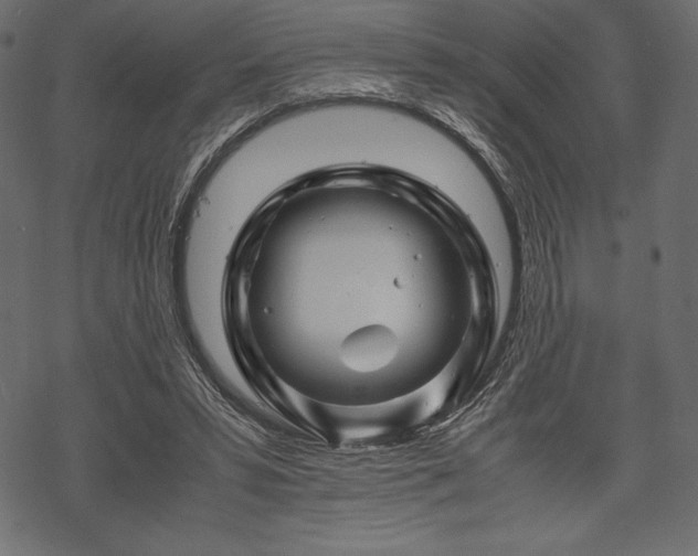 X0000070190399200605301318