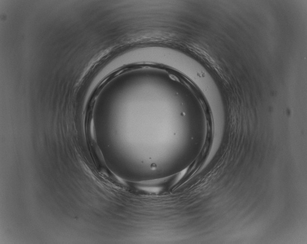 X0000070190400200605301318