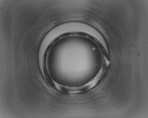 X0000070190401200605301318