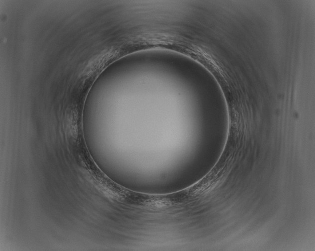 X0000070190402200605301318