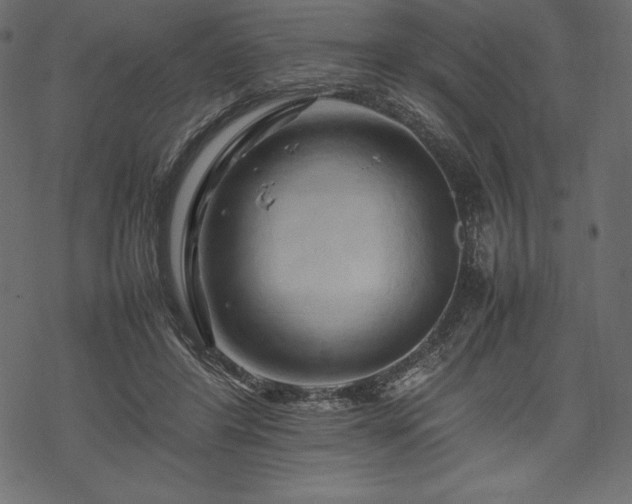 X0000070190404200605301318