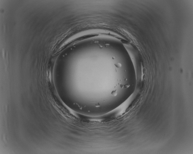 X0000070190405200605301318