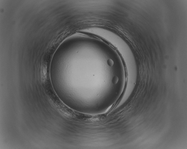 X0000070190406200605301318