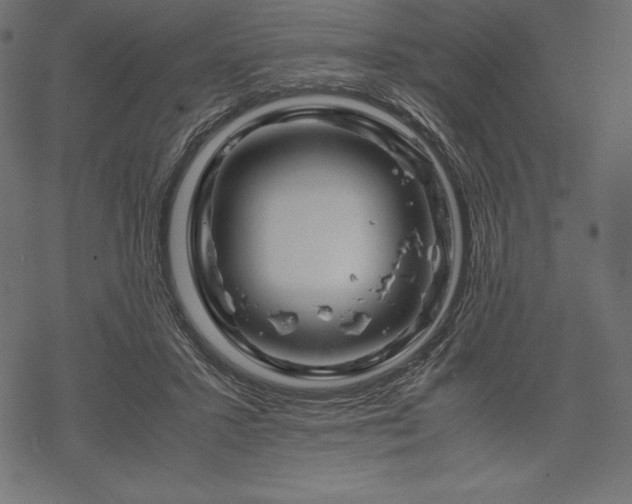 X0000070190407200605301317