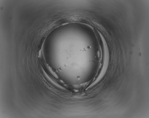 X0000070190409200605301317