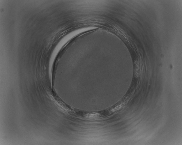 X0000070190410200605301317