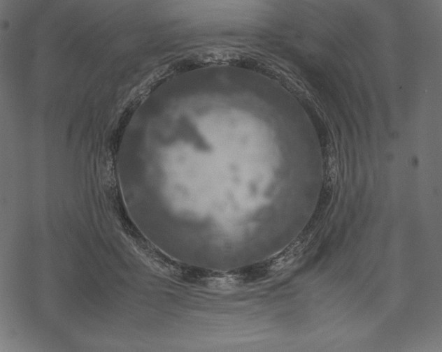 X0000070190411200605301317