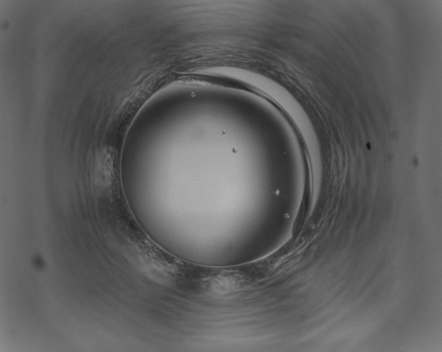 X0000070190412200605301317