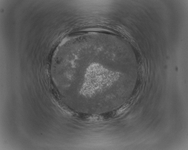 X0000070190415200605301317